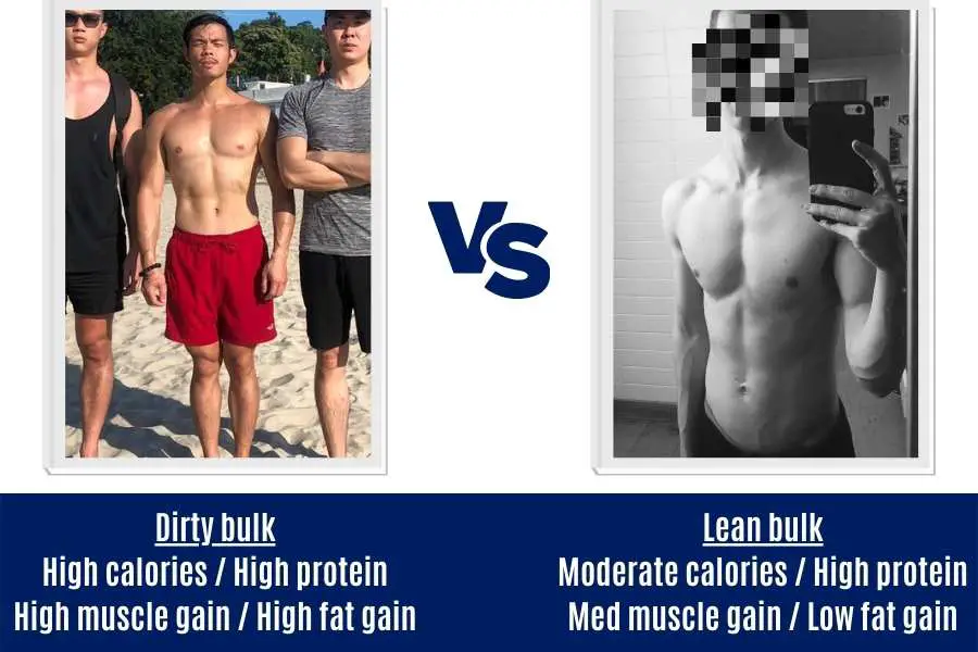 Dirty vs lean bulk differences for skinny beginners.