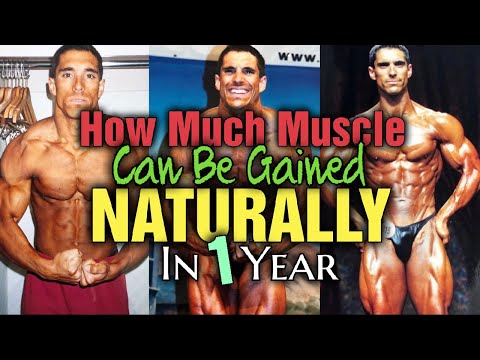 How Much Muscle Can You Gain Training Natural Per Year???