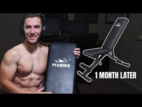 Flybird Adjustable Weight Bench Review - 1 Month Later | GamerBody