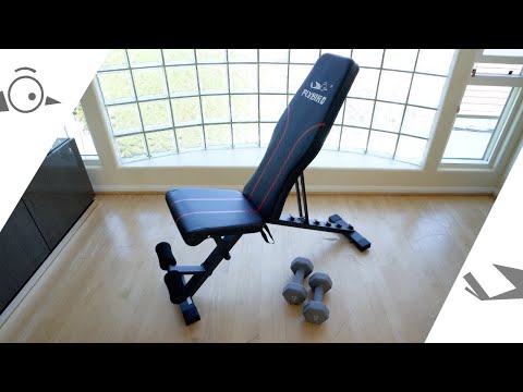 FlyBird - Adjustable Workout Bench
