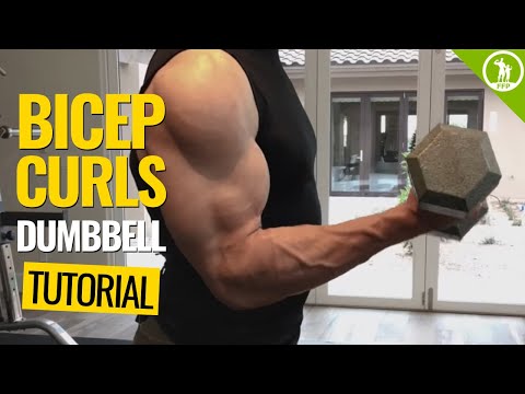 Bicep Curls — (DUMBBELL FORM &amp; TECHNIQUE)