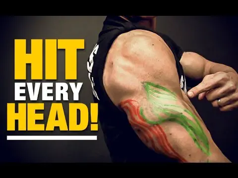 Exercises for Triceps for Every Head (HIT EM ALL!)