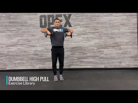 face pull dumbbell