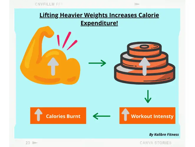 lifting heavier weights burns more fat