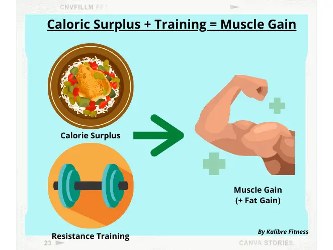 caloric surplus combined with training allows you to gain muscle