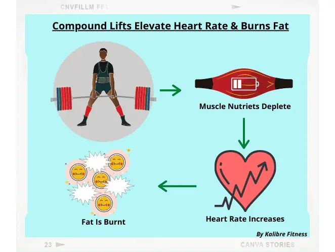 compound lifts elevate heart rate. This will help you burn fat in your workout to lose fat and gain muscle