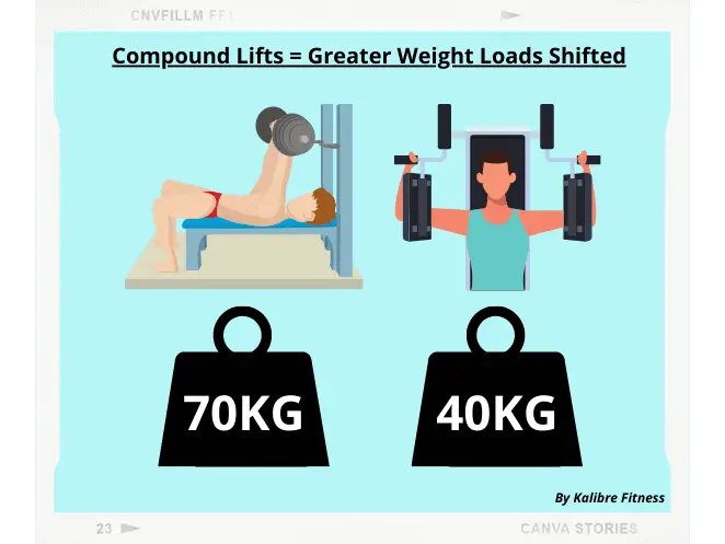 compound lifts allow greater weights to be lifted. Muscle development will help you get a lean body.