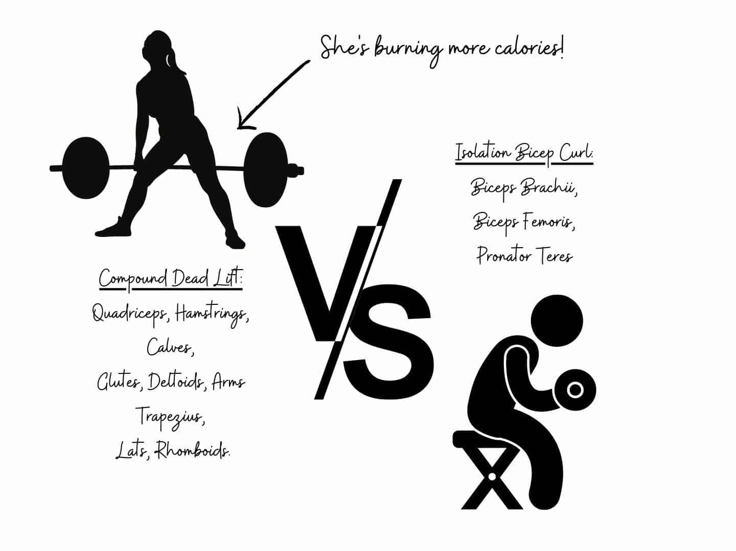 compound lifts activate more muscles and burn more calories. they are better when trying to lift weights to lose fat