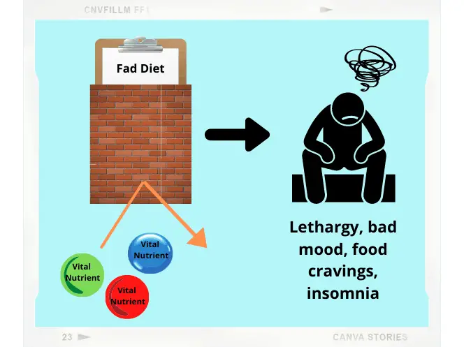 fad diets are not the best diets to burn fat