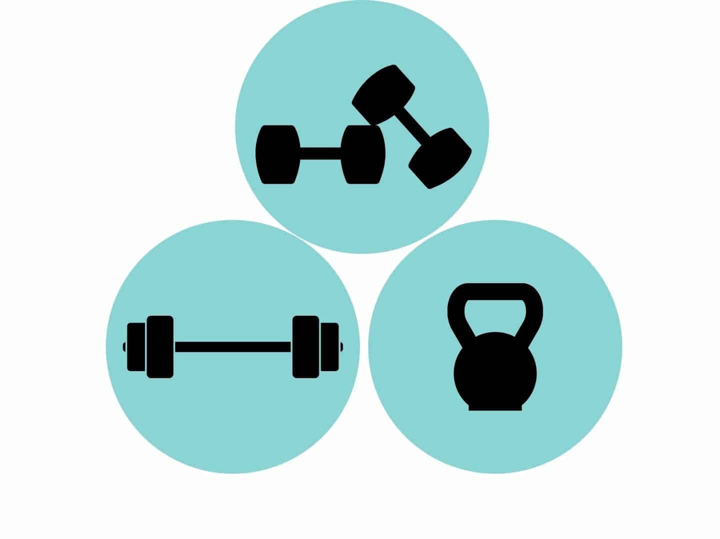 barbells, dumbbells, and kettlebells are all freeweights