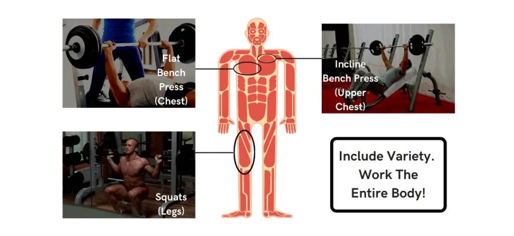 How To Lift Weights To Lose Fat- include variety to work different muscle groups