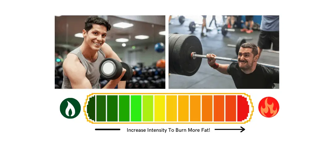 How To Lift Weights To Lose Fat For Overweight People