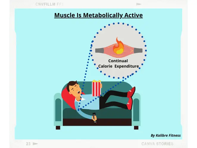 does weight lifting burn fat? muscle burns fat even at rest. this will help you get lean even when you are not working out.