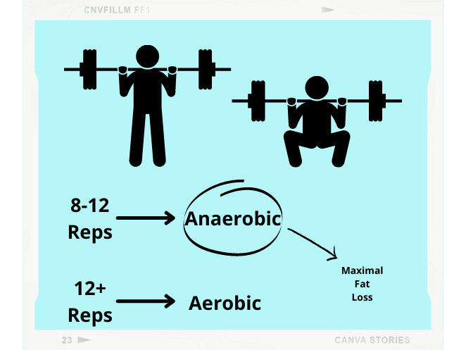 8 To 12 Is The Perfect Rep Range when weight lifting to burn fat