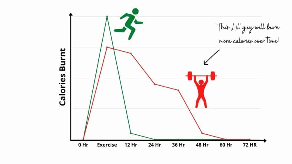 cardio burns more calories during exercise but lifting weights burns more total calories over time. 