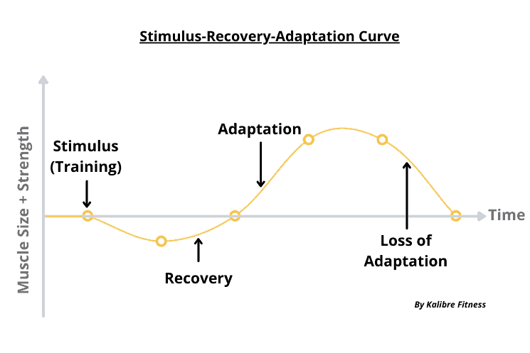 stimulus recover adaptation curve