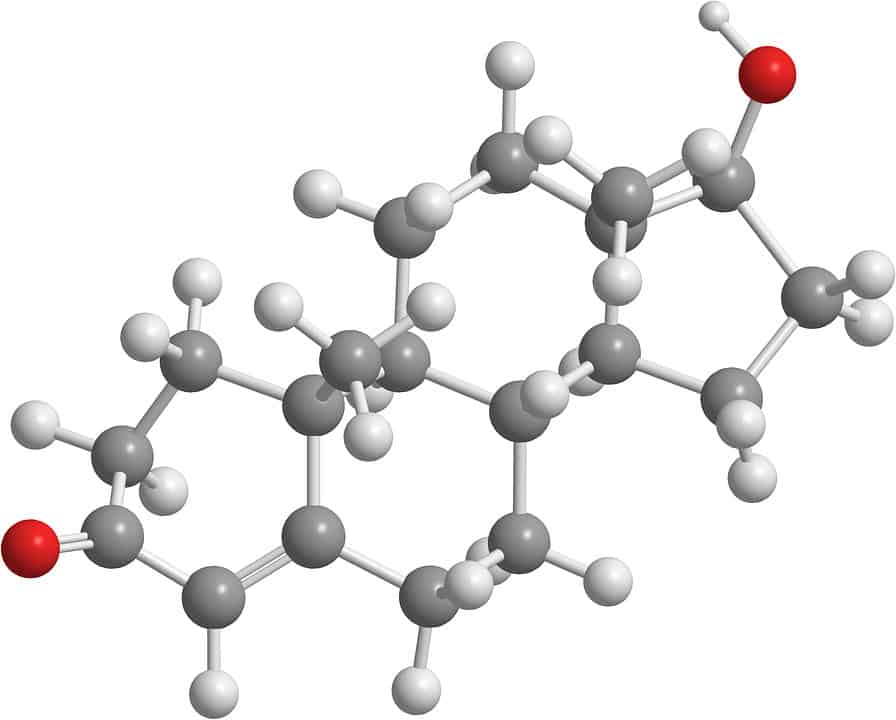 testosterone build muscle