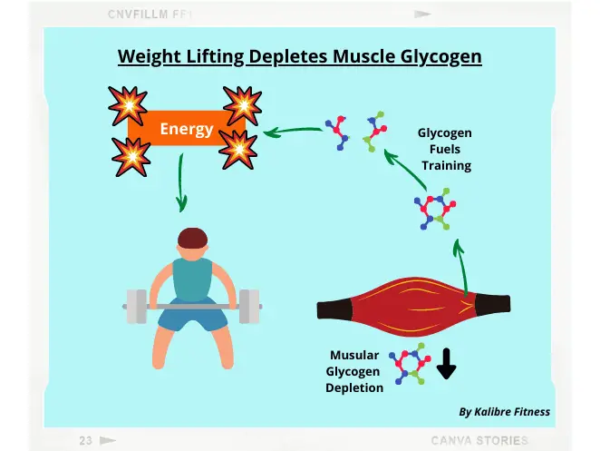 weight lifting burns fat by depleting glycogen