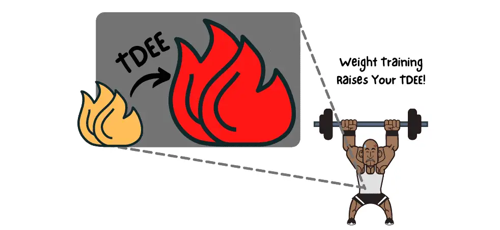 does weight lifting burn fat? weight lifting increases total daily energy expenditure