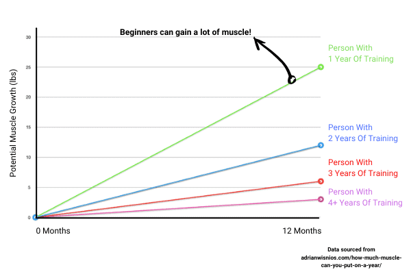line chart to show beginners can work out less and still gain muscle