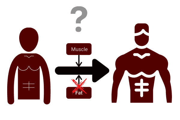diagram showing how you can bulk without losing your abs?