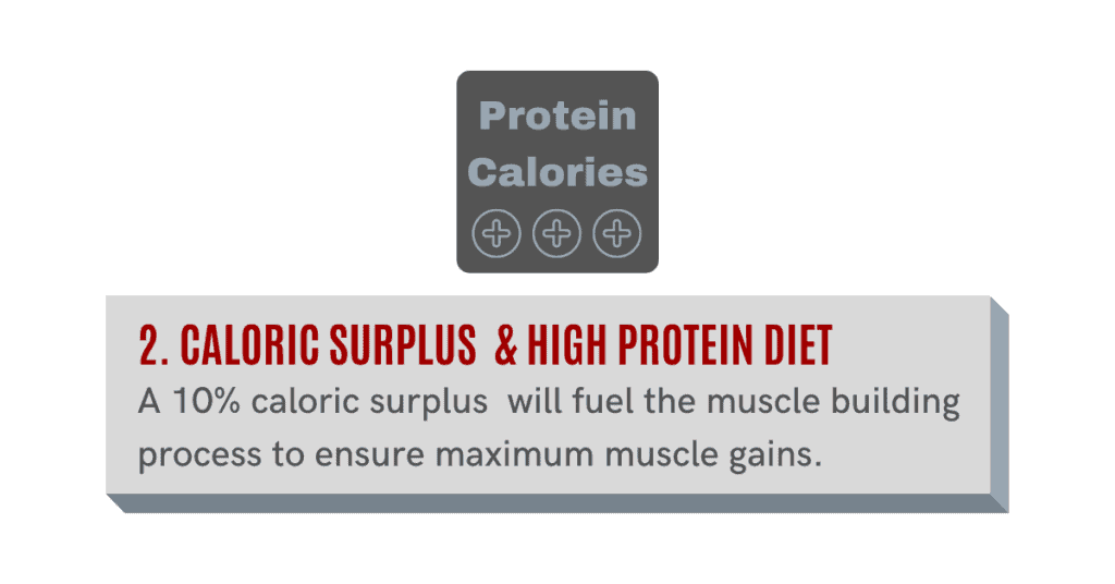 caloric surplus and high protein diet will help you to gain muscle fast