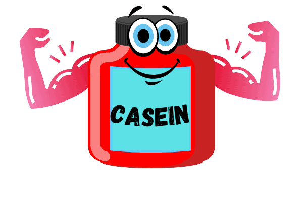 casein is also great to increase lean muscle