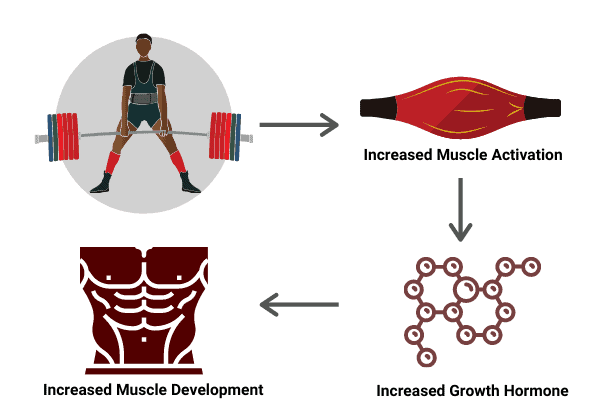 diagram to show that compound exercises lead to a higher hormone response than isolation exercises