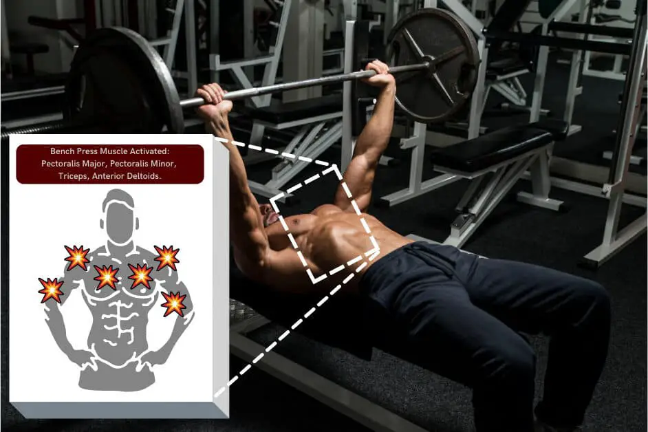 perform compound lifts to get a v shaped body