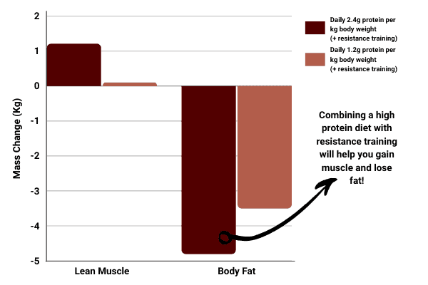 Bar chart to show that a high protein is required to bulk without losing your abs