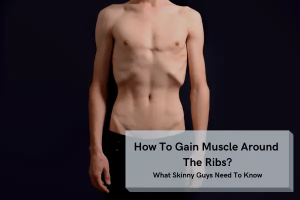 how to gain muscle around the ribs