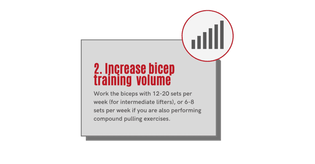 how to get bigger biceps-  increase training volume