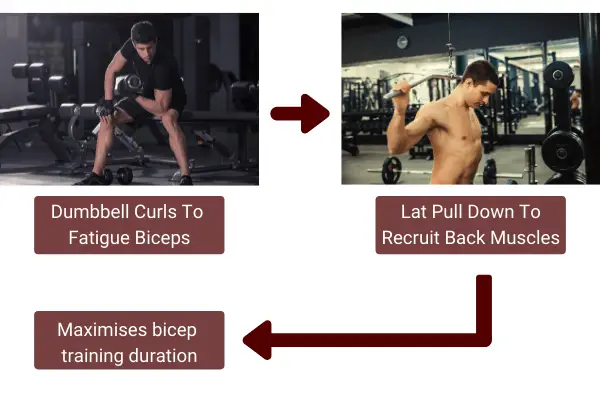 isolation exercises allow for longer workouts than compound exercises