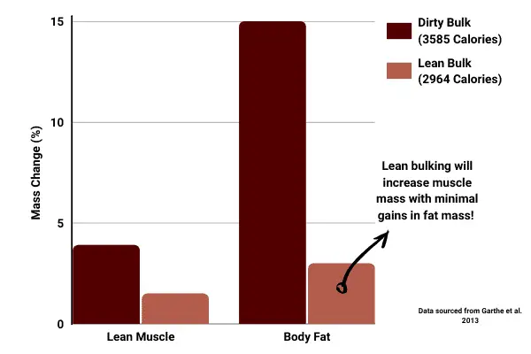 bar chart showing lean bulking produces the best muscle gains relative to fat gains
