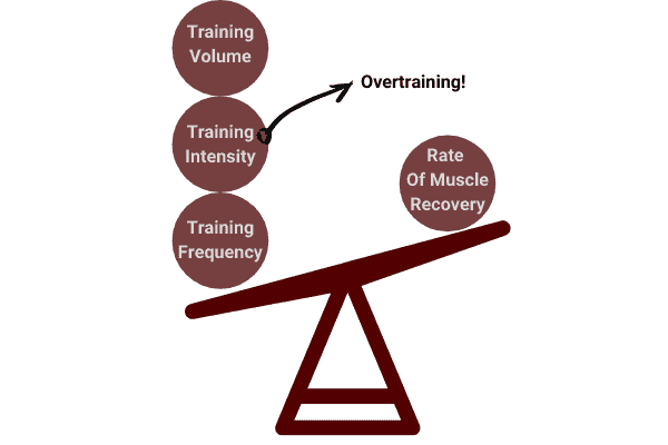 Lifting Weights Everyday To gain muscle may lead to overtraining
