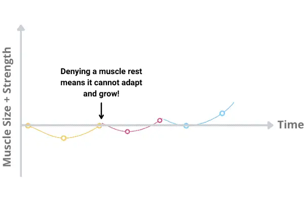 line chart to show that lifting weights everyday will prevent muscle rest and muscle gain