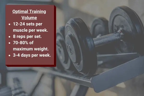 optimal training volume for a bulk and cut