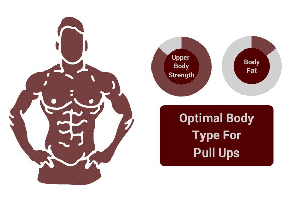 the optimal body type to pull your body weight is lean with upper body strength.