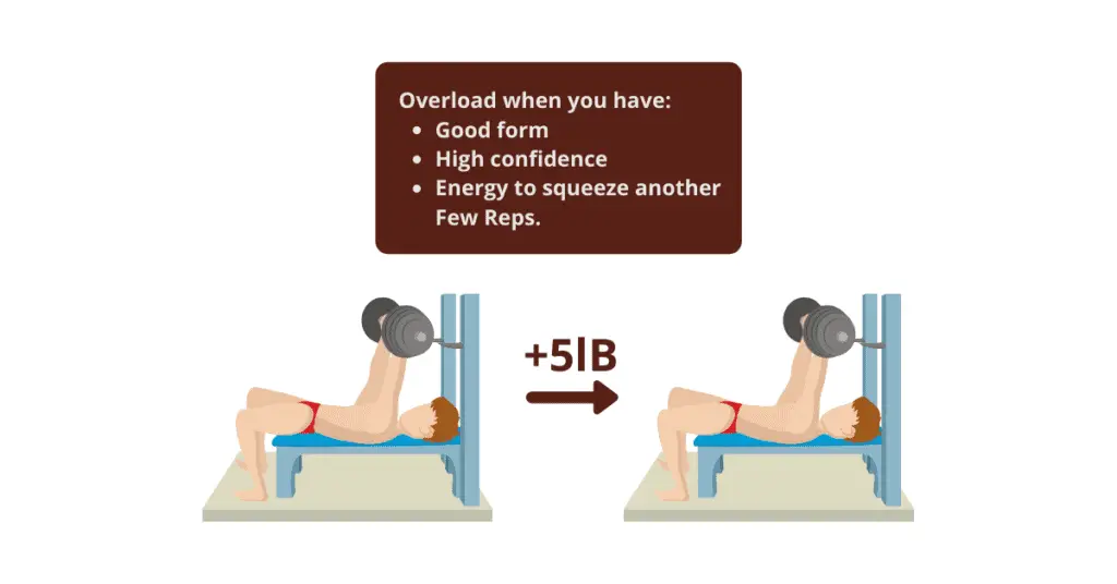 overload the muscle to continue gaining muscle.