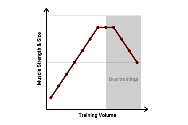 line chart to show that lifting weights everyday will decrease muscle strength and size