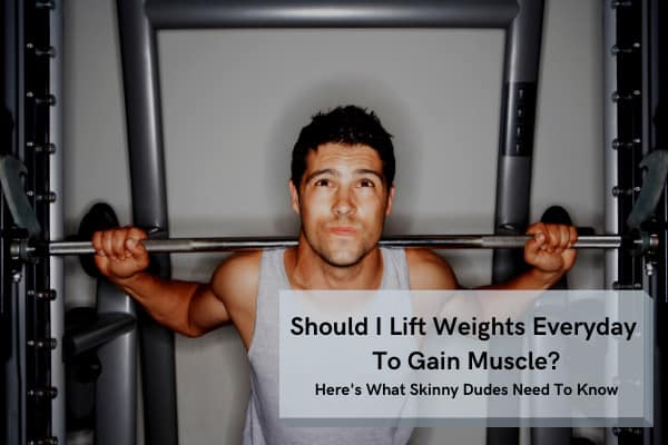 should i be lifting weights everyday to gain muscle?