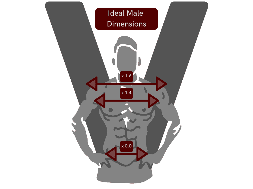 diagram showing v shaped body dimensions