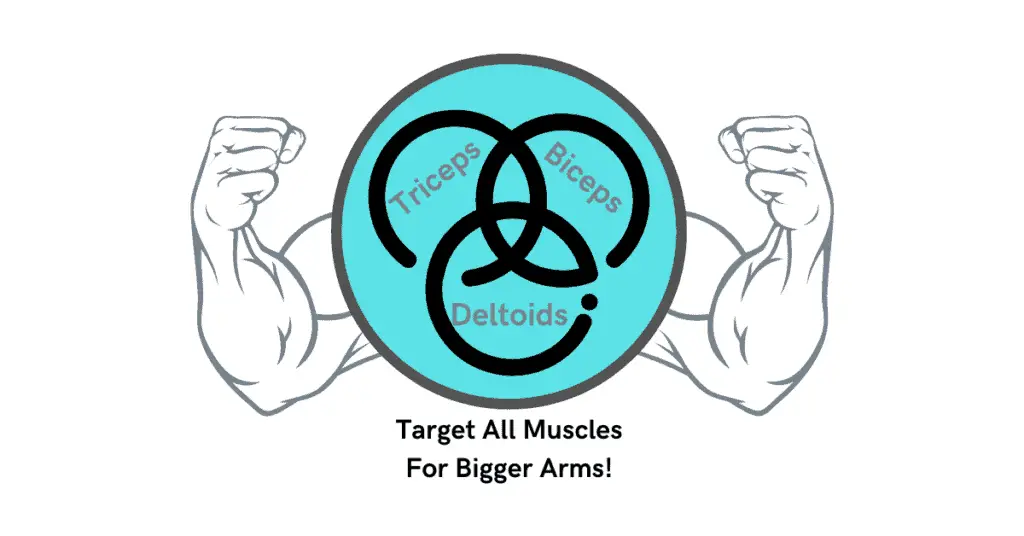 include a variety of exercises to grow the arm muscles