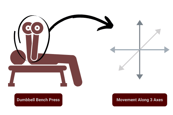 an advantage of dumbbells is greater range of motion across 3 axes