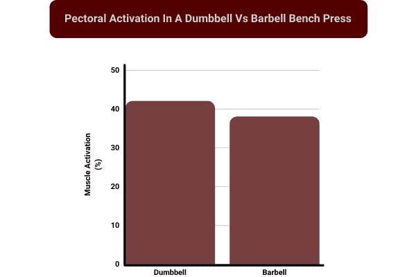 bar chart to show muscle activation of dumbbells compared to barbells.