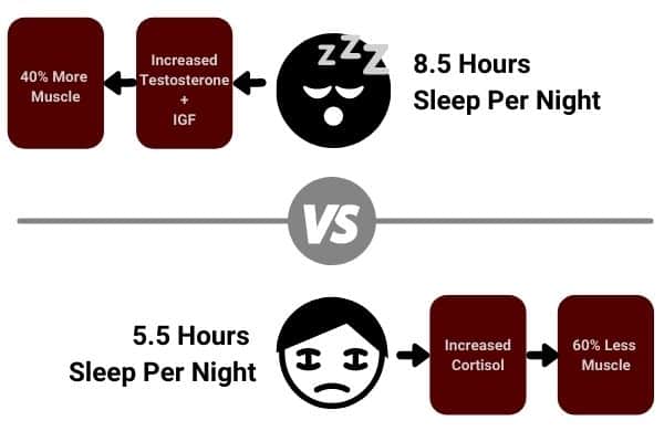 diagram to show sleep is required for hardgainers to build muscle
