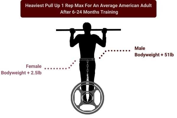 infographic to show average pull up 1 rep max for adult males and females