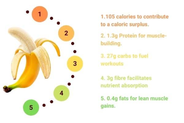 infographic showing nutrient-dense profile for bananas