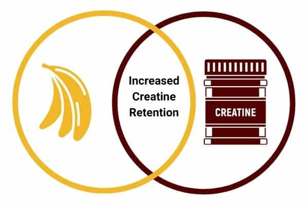 infographic to show bananas help increase creatine retention which helps build muscle