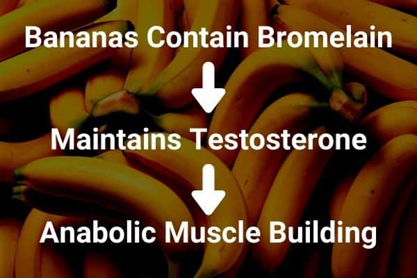 bananas help build muscle because they contain bromelain which helps maintain anabolic testosterone